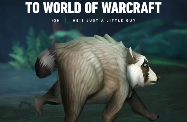 The internet has fallen in love with a viral raccoon named Jimothy, and so has the gaming industry, with Blizzard Entertainment creating a render for what he would look like in World