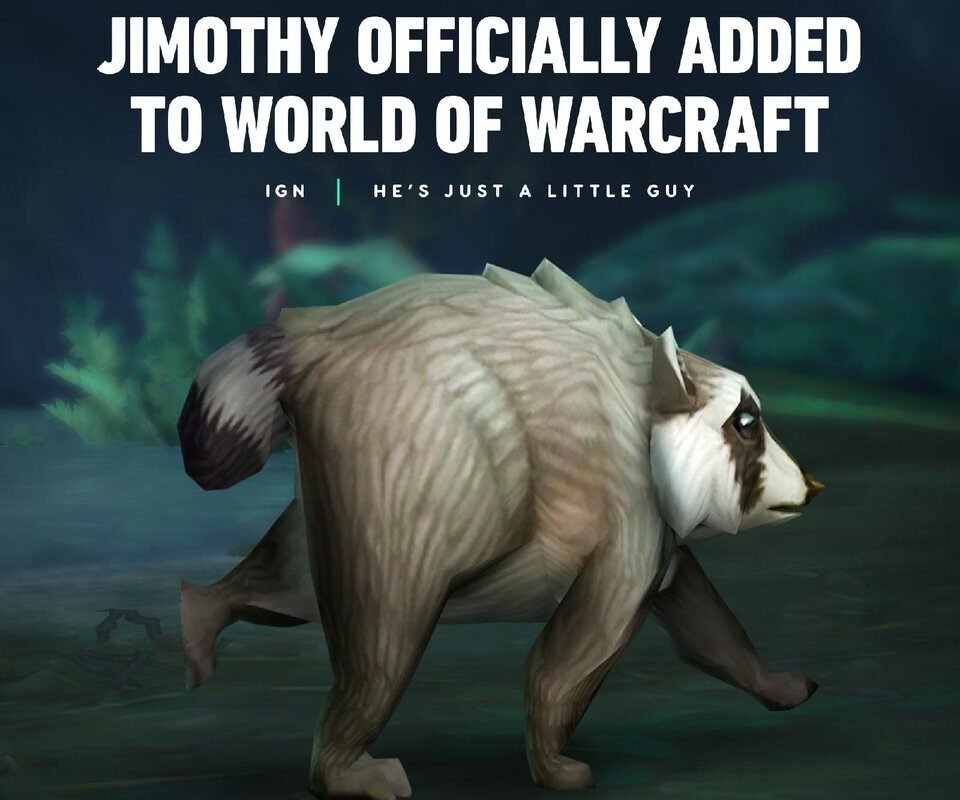 The internet has fallen in love with a viral raccoon named Jimothy, and so has the gaming industry, with Blizzard Entertainment creating a render for what he would look like in World
