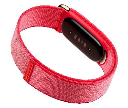 Google Fitbit Air launches with no screen and a big AI health push
