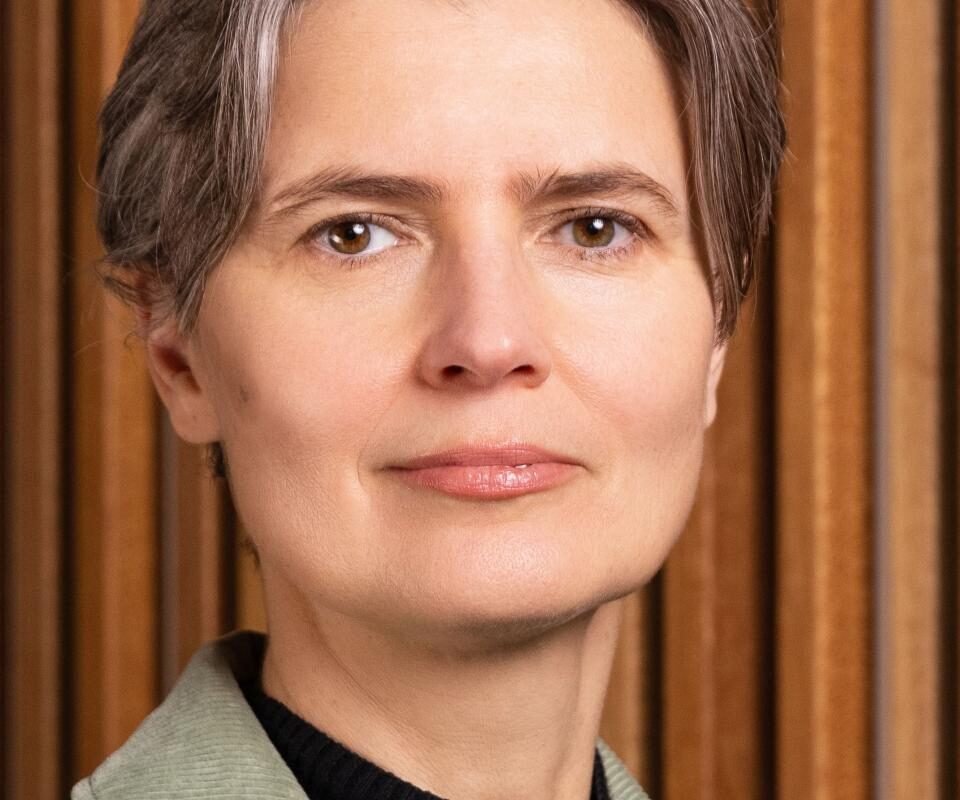 Adriana Iamnitchi (A.I.) - Maastricht University