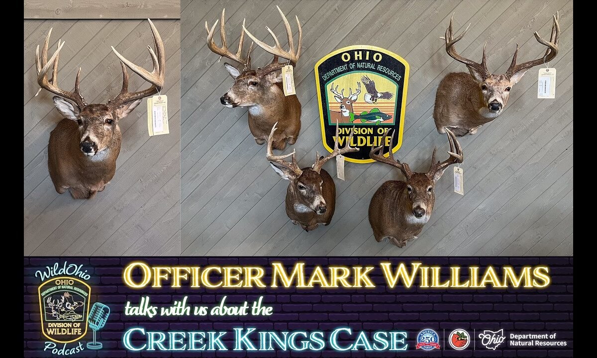 Creek Kings Deer Poaching Case with Wildlife Officer Mark Williams