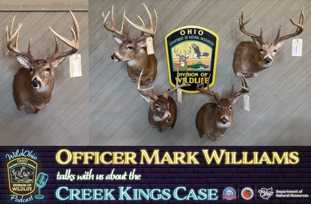 Creek Kings Deer Poaching Case with Wildlife Officer Mark Williams