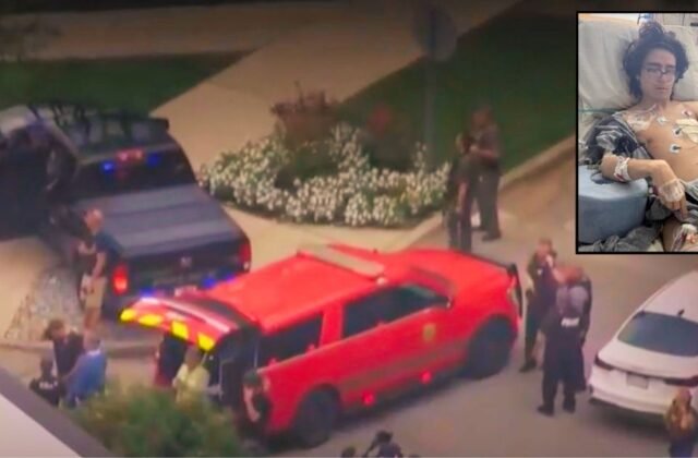 Deputies allegedly ignored swatting warnings, paralyzed man