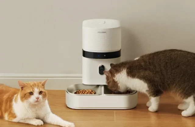 Petlibro accused of “gaslighting” users over smart pet feeder outage - Ars Technica