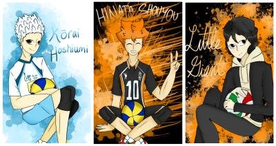 The Three Little Giants (Hoshiumi, Hinata, and LG) : r/haikyuu