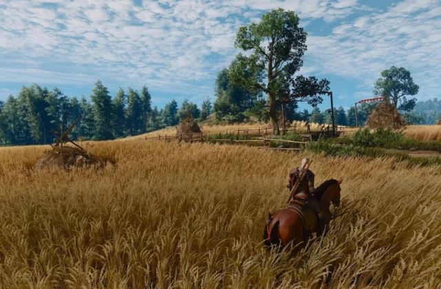 The Witcher 3 Remastered - Switch 2 Screenshots : r/NintendoSwitch2