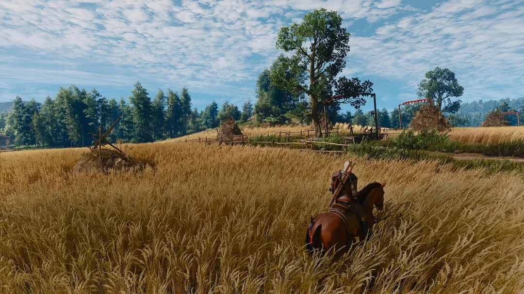 The Witcher 3 Remastered - Switch 2 Screenshots : r/NintendoSwitch2