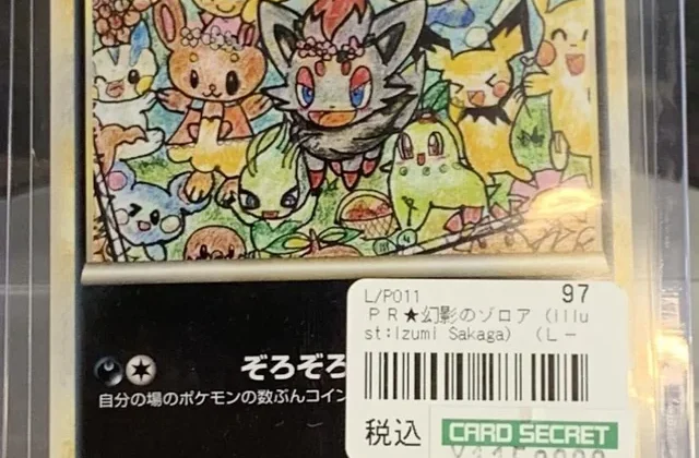 Amazing art work on this card never even heard about it before. Illusions Zorua : r/PokemonTCG